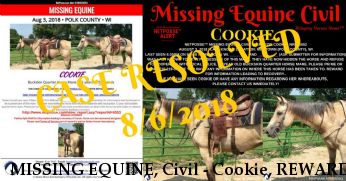 MISSING EQUINE, Civil - Cookie, REWARD  - RESOLVED 8/6/18 Near Milltown, WI, 54848